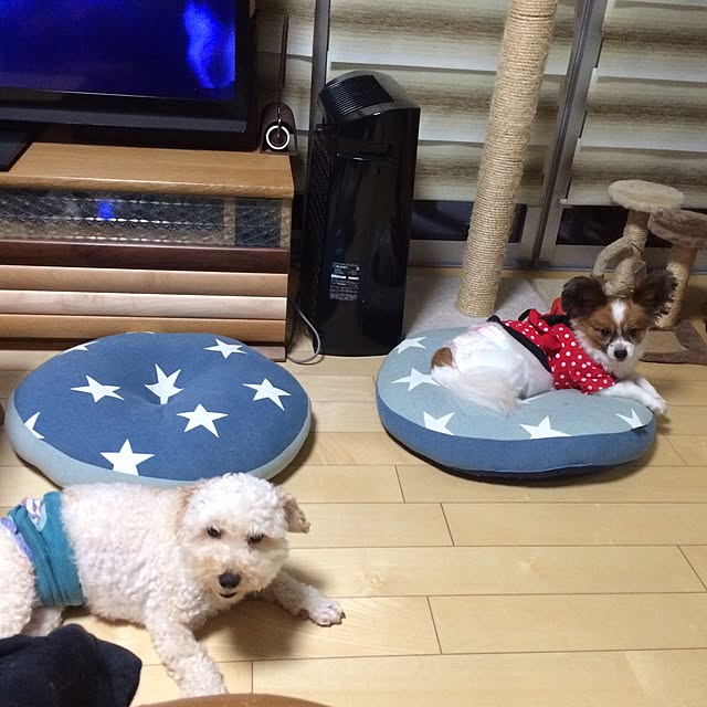 mikan0607さんの実例写真
