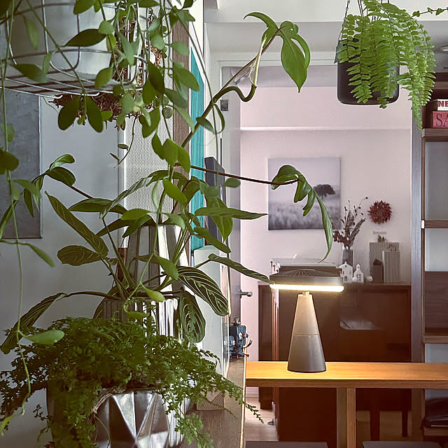 DAYONEさんの実例写真