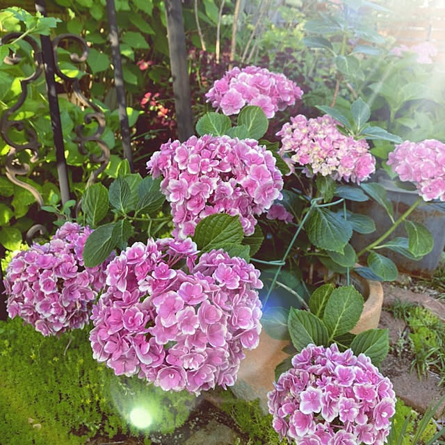 min_nimさんの実例写真