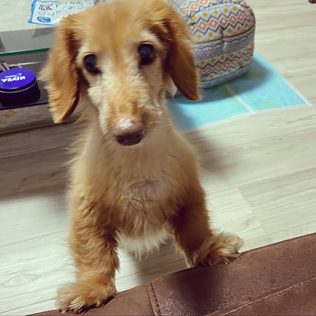 Kyoko.さんの実例写真
