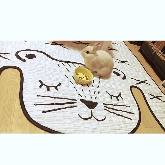 Nagisaさんの実例写真