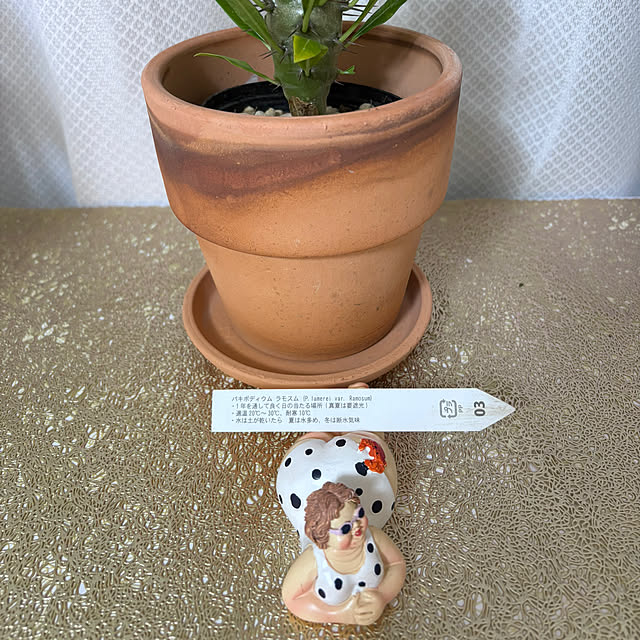 HITOさんの実例写真