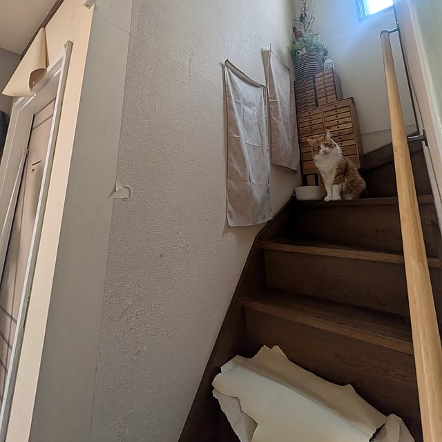 mori_6_12さんの部屋