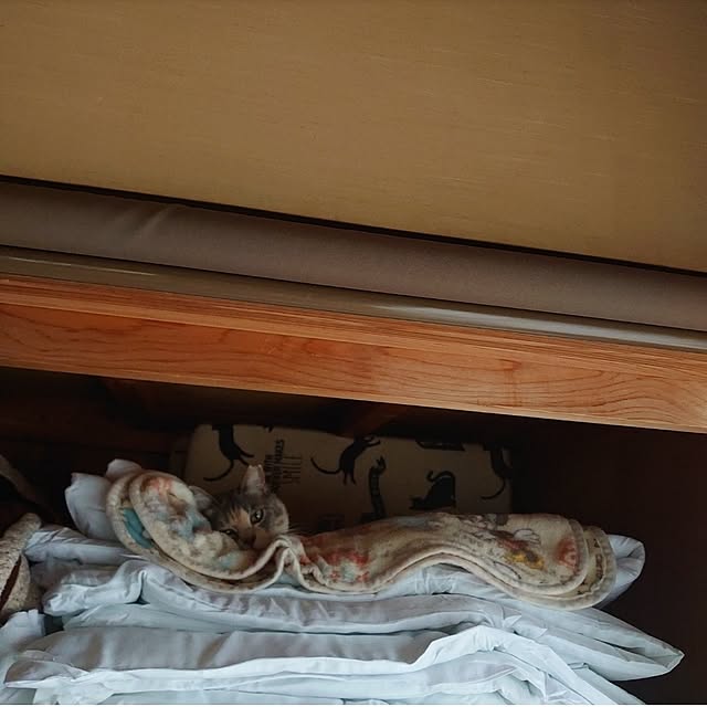 fukuさんの部屋