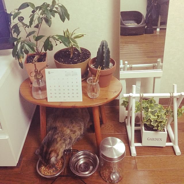 MOCAさんの実例写真