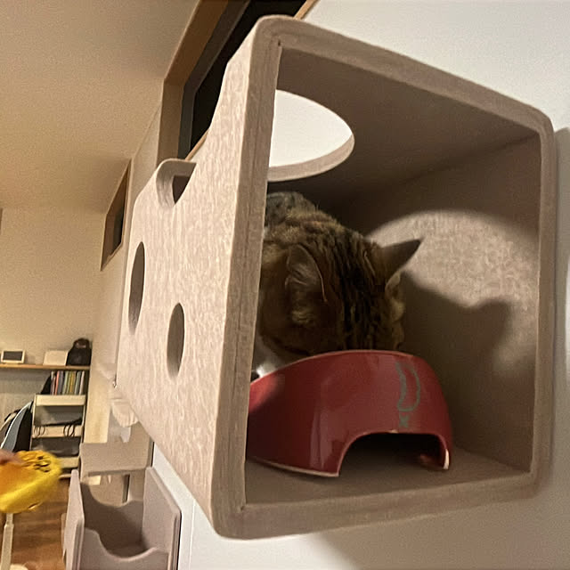 tiroさんの部屋