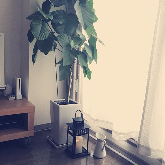 sachiさんの実例写真