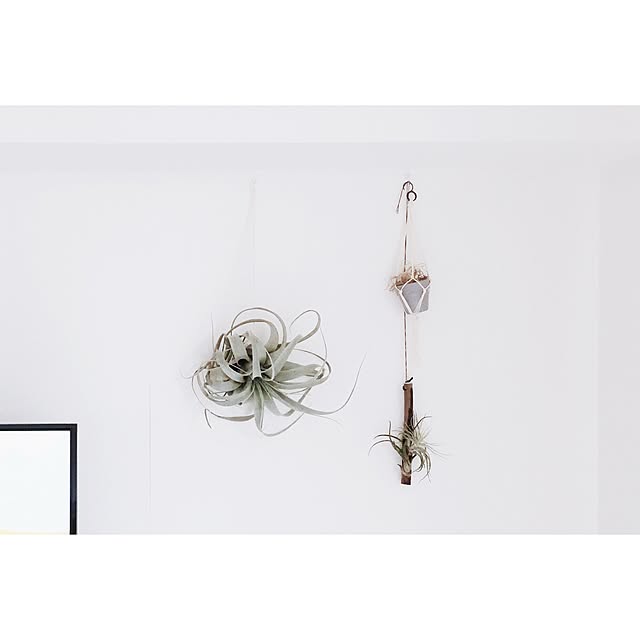 yorimichiさんの実例写真