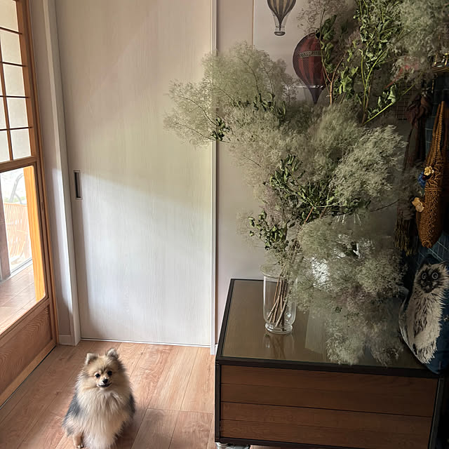 uninekoさんの実例写真