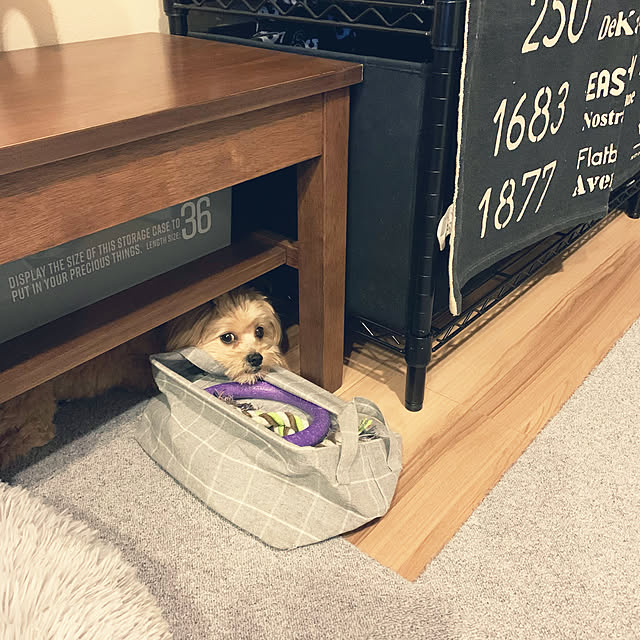 ikt.tamaさんの実例写真