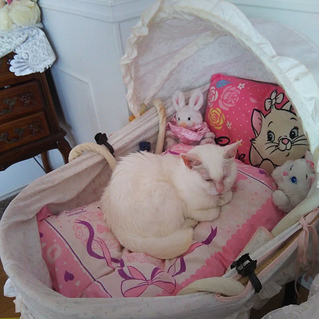 sakuraさんの実例写真