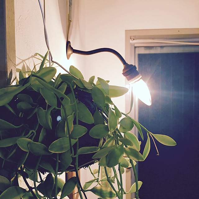 mikiさんの実例写真