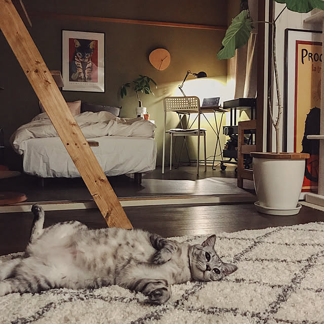 ineko_kさんの実例写真