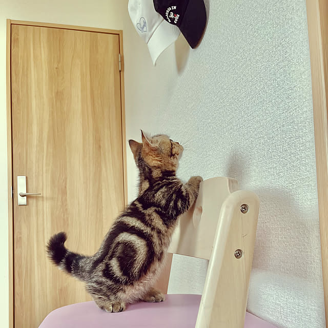 chiiさんの部屋