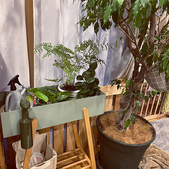 niko.mamさんの実例写真