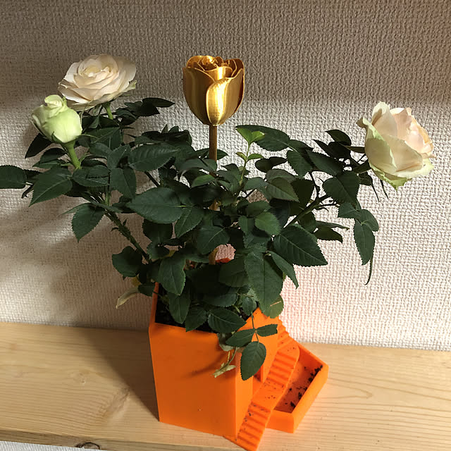 tetumikiさんの実例写真
