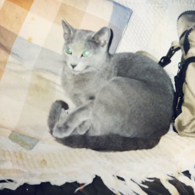 実例写真