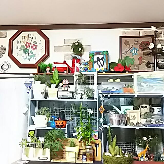 実例写真