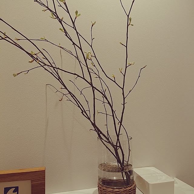 otokiさんの部屋