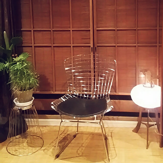 spinetailさんの実例写真