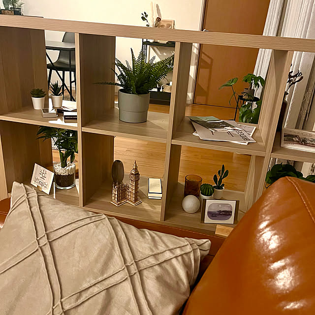 観葉植物/IKEA/雑貨/一人暮らし/北欧...などのインテリア実例 - 2023-02-08 12:52:29