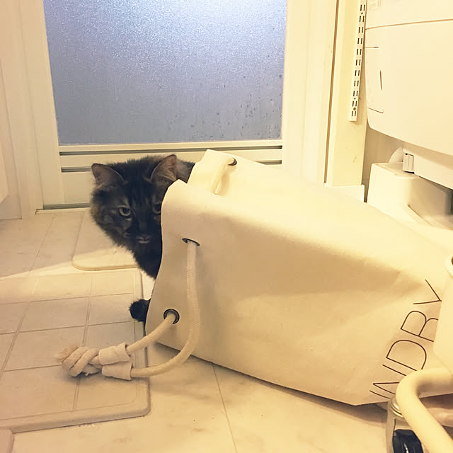 mikomaruさんの実例写真
