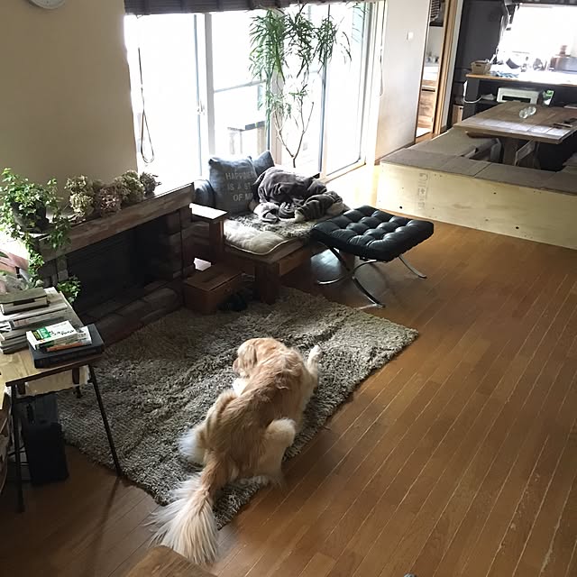 tomowithdogさんの実例写真