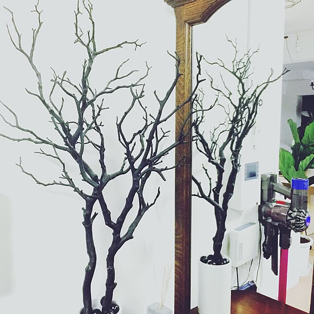 yoshiさんの実例写真