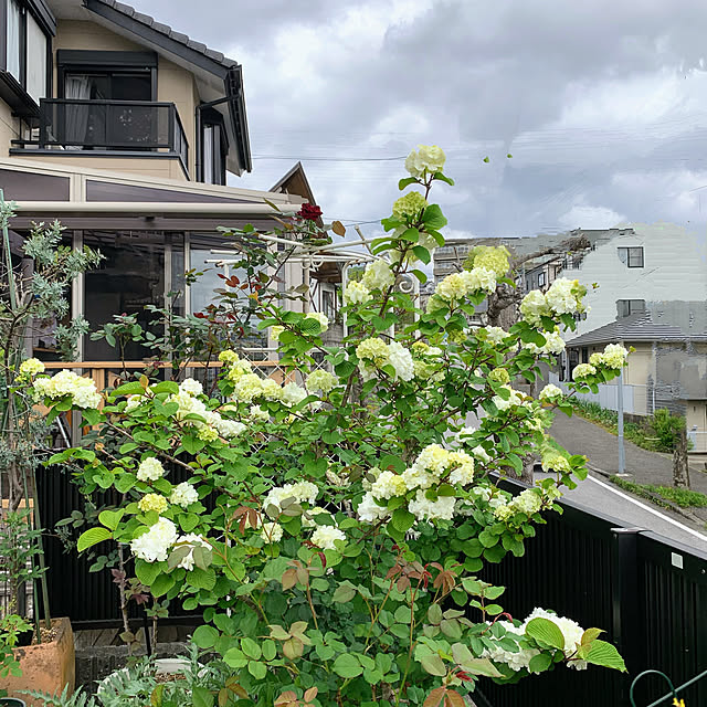 ponyoさんの部屋