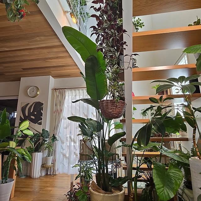 nonbiri_house_さんの実例写真