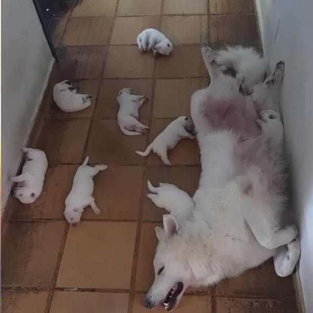 Tackunさんの部屋