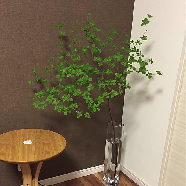 yumitakaさんの実例写真