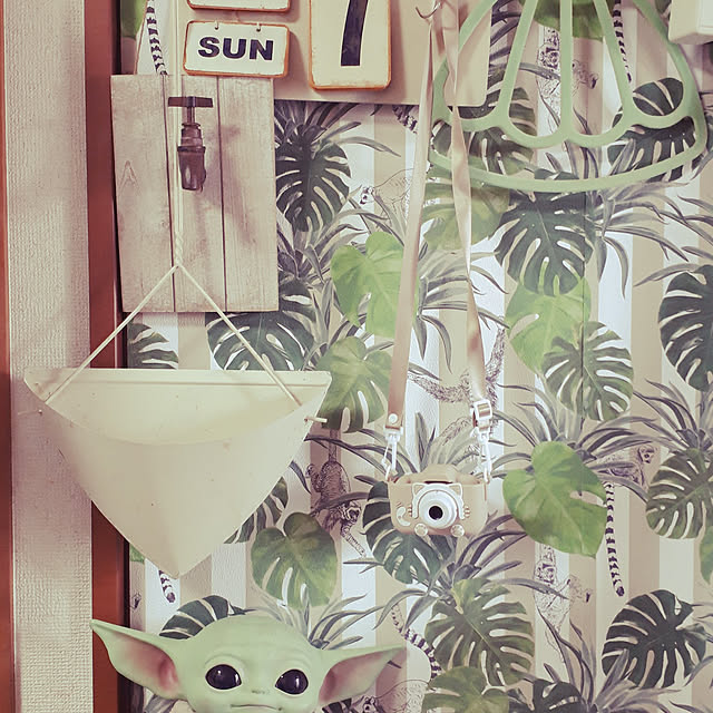ANTENNAさんの実例写真