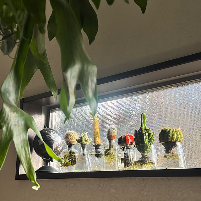 greycatsさんの部屋