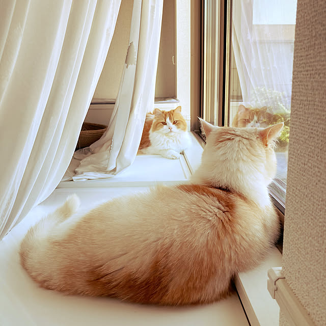 H.Tさんの実例写真