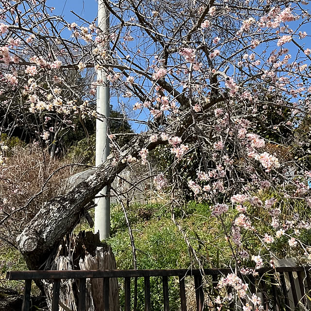 mogumoguさんの実例写真