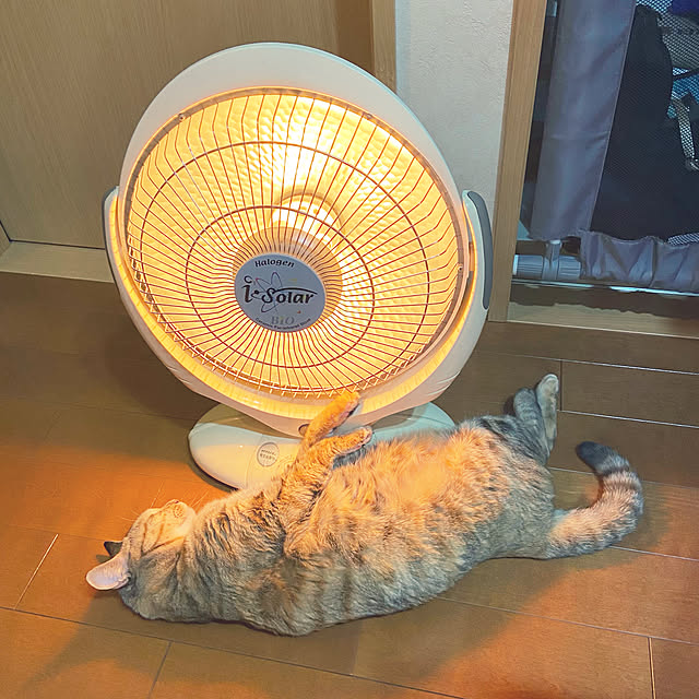 hansho.sさんの実例写真