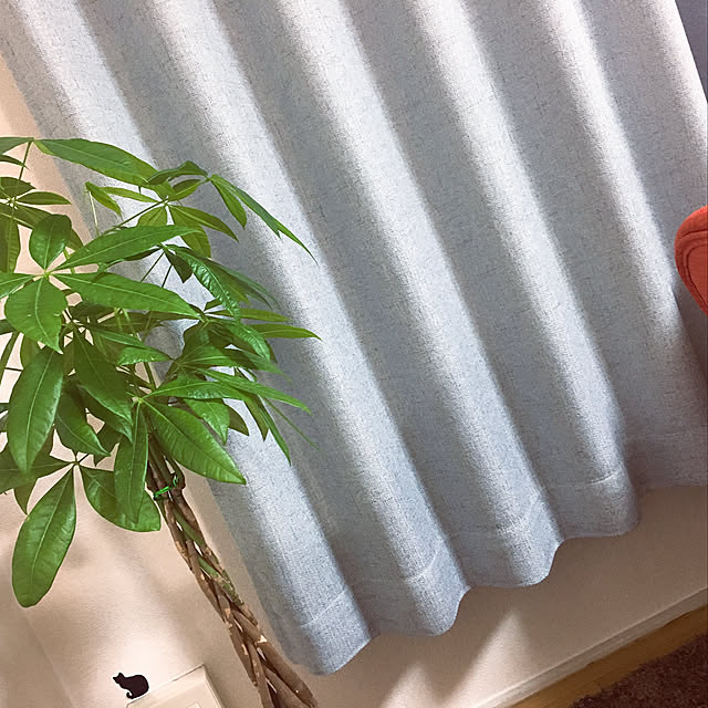 akariさんの実例写真