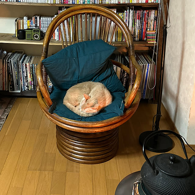 実例写真