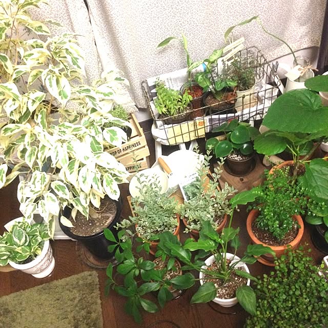 tomomi_jeanさんの実例写真