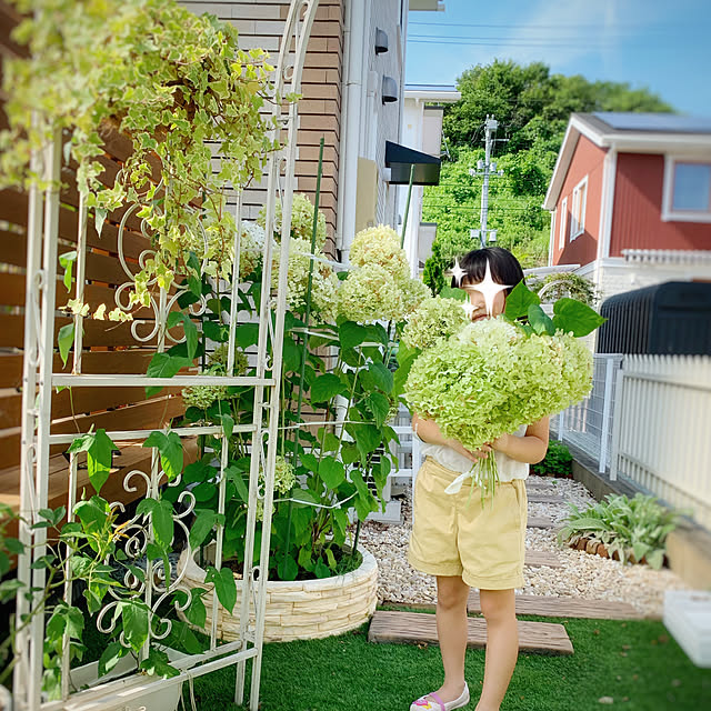 Michiさんの実例写真