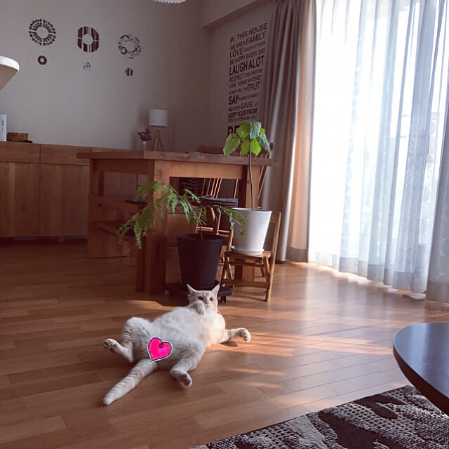 hiyupan88さんの実例写真