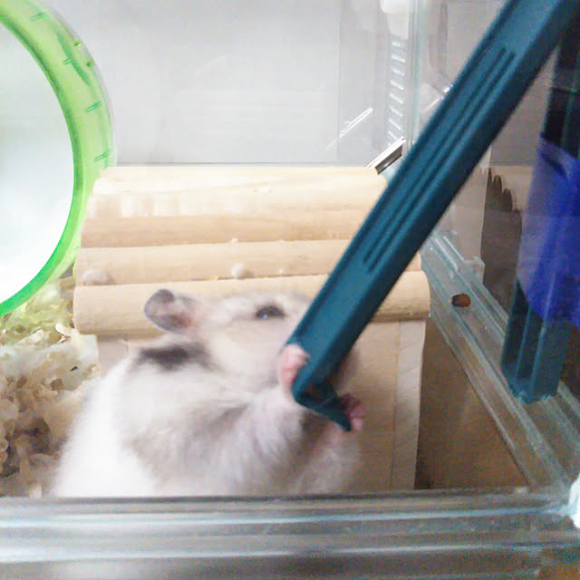 yukieさんの実例写真