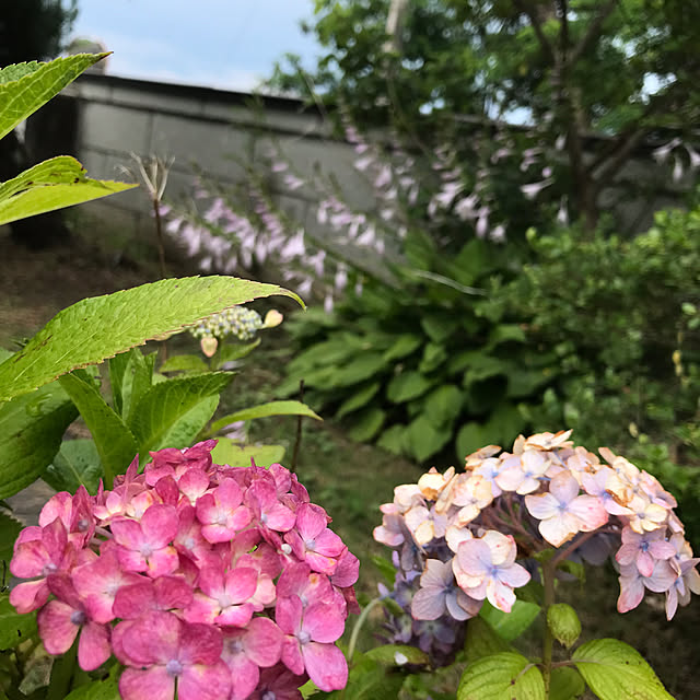 Nagakoさんの部屋