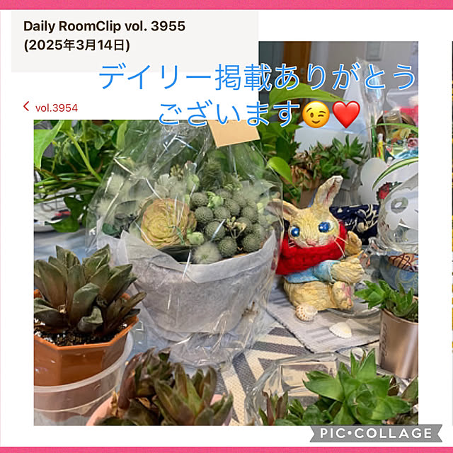 Aqettyさんの実例写真