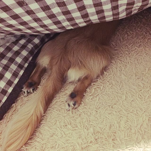 -Riley-mama.-さんの実例写真