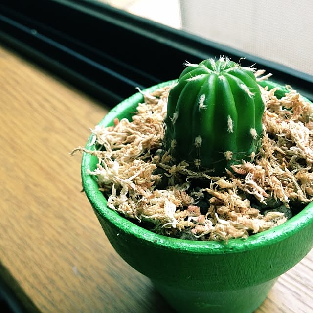 L.さんの実例写真