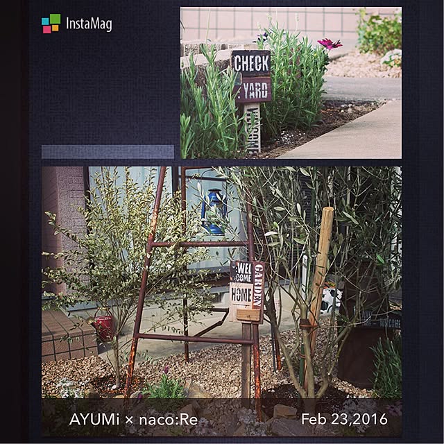 AYUMiさんの実例写真