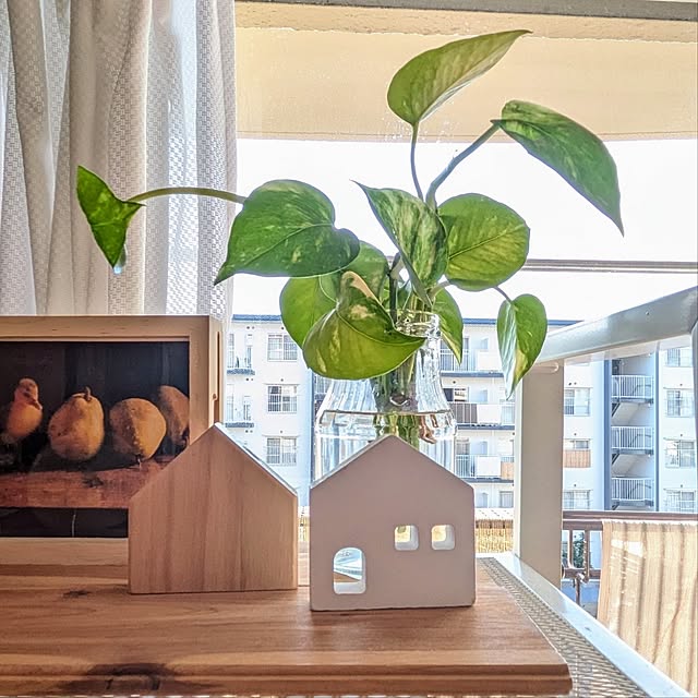 mi-saさんの部屋