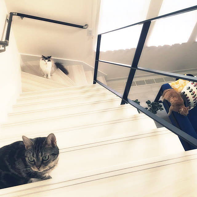 Leoさんの実例写真